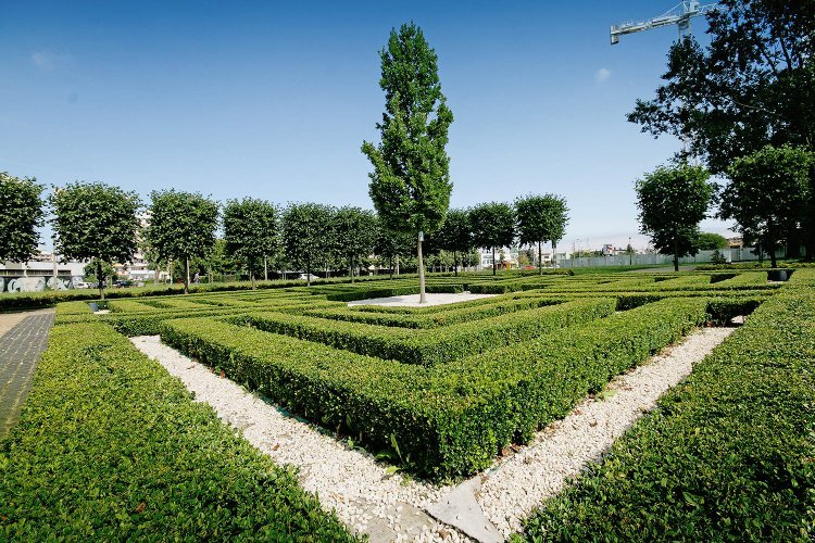 Park im. Jan Pawła II to kilka hektarów zieleni w sąsiedztwie inwestycji Awiator na Gdańskiej Zaspie.
