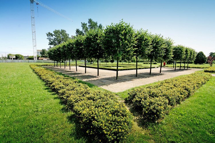 Parkowy pomnik na Zaspie poświęcony papieżowi Janowi Pawłowi II zlokalizowany tuż obok inwestycji Awiator.
