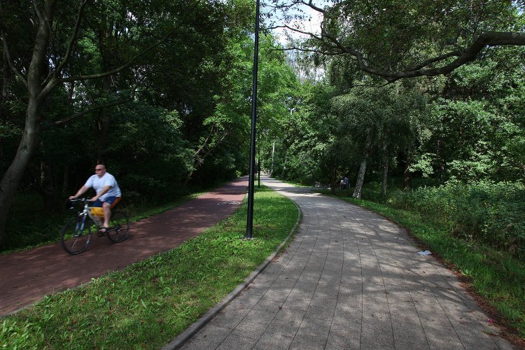 Ścieżki rowerowe i spacerowe w parku im. Reagana prowadzą dalej na Zaspę, w okolice budynków Awiatora.