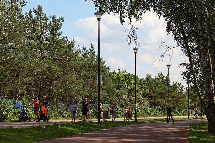 Szerokie alejki spacerowe oraz ścieżki rowerowe na Gdańskiej Zaspie prowadzą do budynków Awiatora.