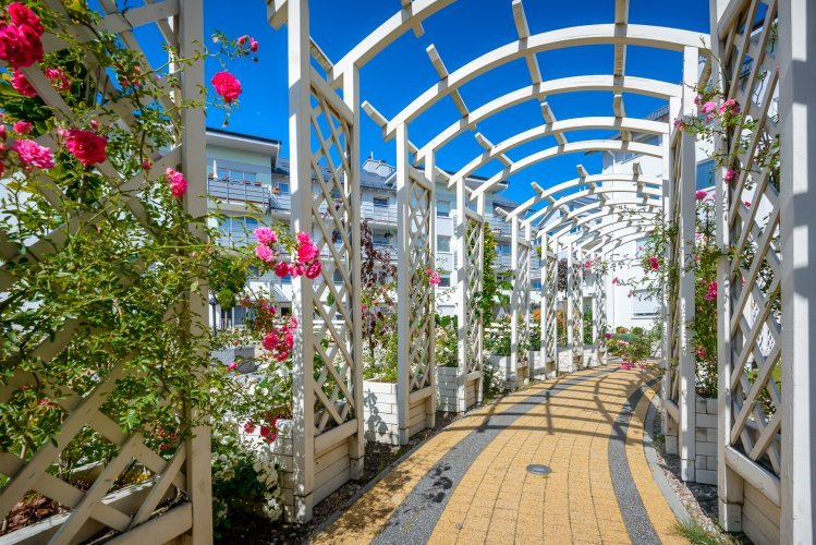 Ogród Różany - biała, drewniana pergola, różne gatunki róż w letni, słoneczny dzień na Królewskim Wzgórzu.