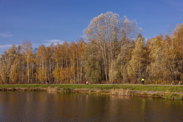Okolica osiedla LINEA umożliwia mieszkańcom korzystanie z uroków pobliskich lasów i zbiorników wodnych przez cały rok.