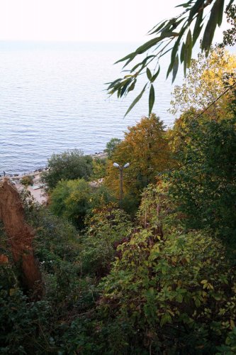 Osiedle Gdyńskie Gdynia Mieszkania nad Morzem z Widokiem na Las Allcon