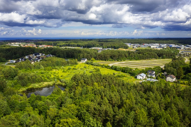 Nowa Dąbrowa wyrośnie na obszernym, łagodnie opadającym na południe terenie, co gwarantuje optymalną ekspozycję na słońce i dobre doświetlenie mieszkań.