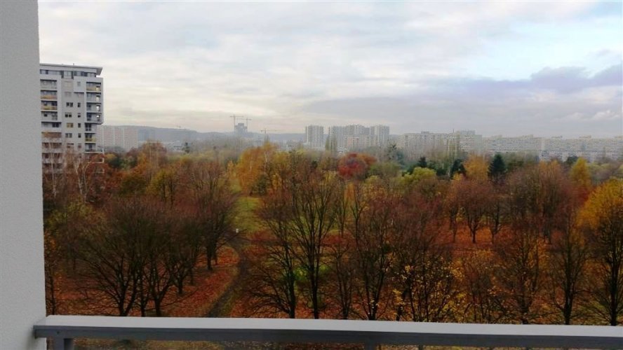 Budynek Delta - widok z balkonu na poziomie piętra 8 na jesienny park im. Jana Pawła II.