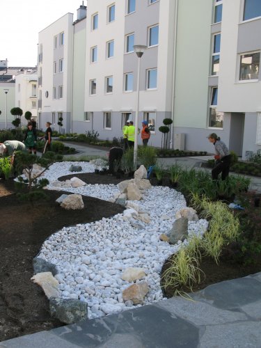 Ogród Skalny - kamienna rzeka "płynąca" w kierunku budynku 16. Ostatnie prace związane z nasadzeniami roślin.