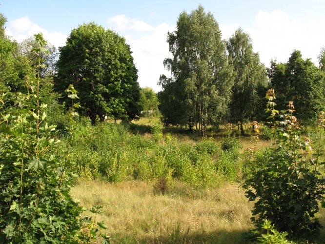 Willa Park - teren inwestycji, widok w kierunku południowo-wschodnim.