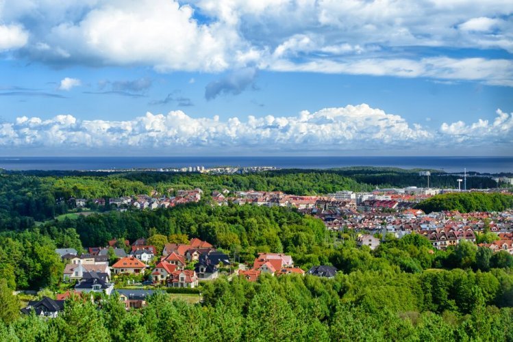 Gdyńka Dąbrowa - zielona dzilnica - widok z wieży na górze Donas.